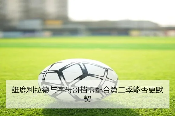 雄鹿利拉德与字母哥挡拆配合第二季能否更默契